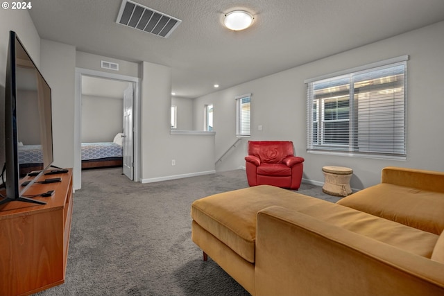 living room with carpet and a textured ceiling