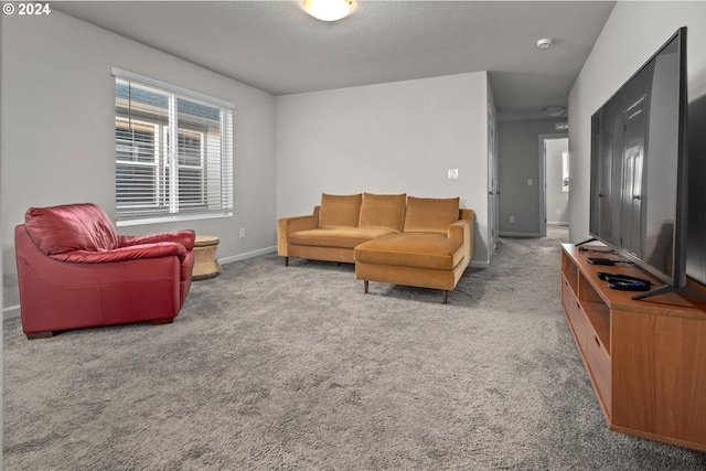 living room with carpet floors and baseboards