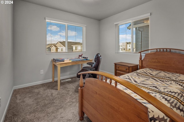 bedroom with carpet flooring and multiple windows