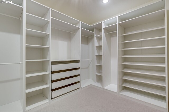 spacious closet featuring carpet floors