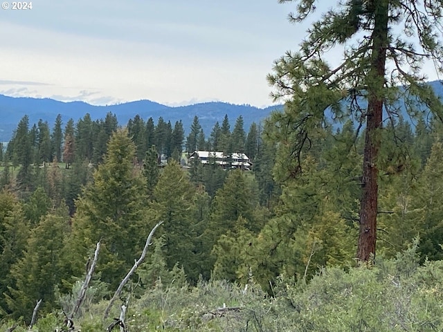 property view of mountains