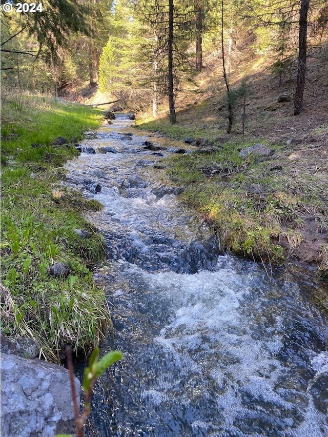 view of nature