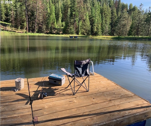 view of dock with a water view