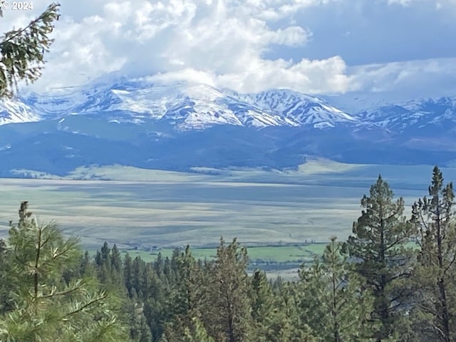 mountain view