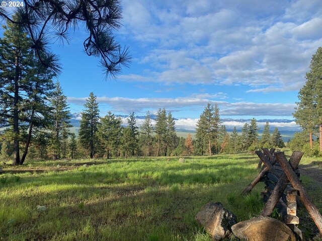 view of landscape with a rural view