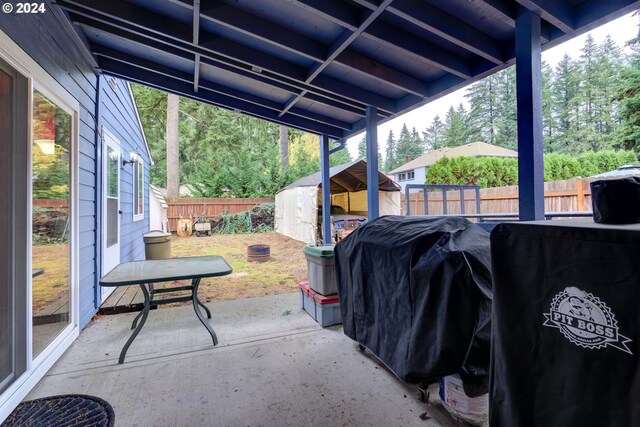 view of patio / terrace featuring grilling area