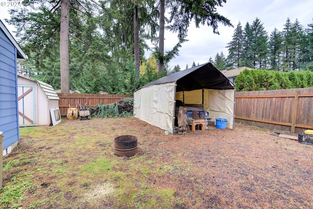 view of yard with a storage unit