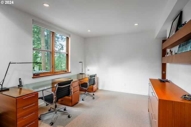 home office featuring light colored carpet