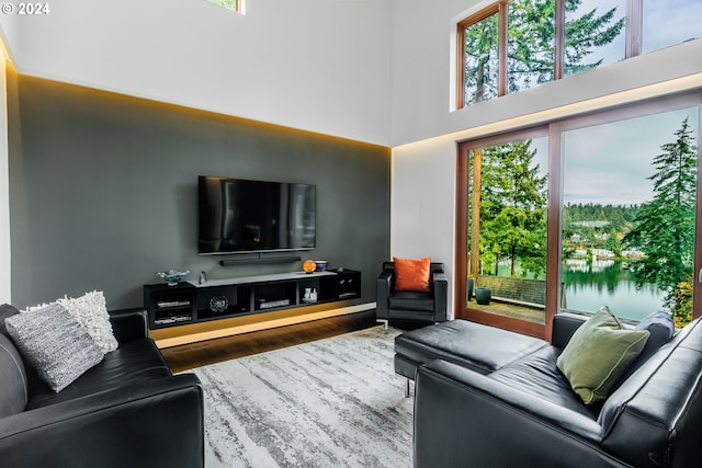 living room featuring hardwood / wood-style flooring and a towering ceiling