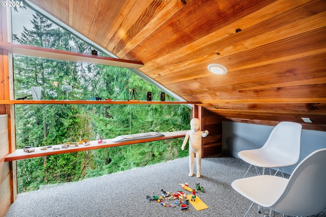 interior space featuring wood ceiling and vaulted ceiling