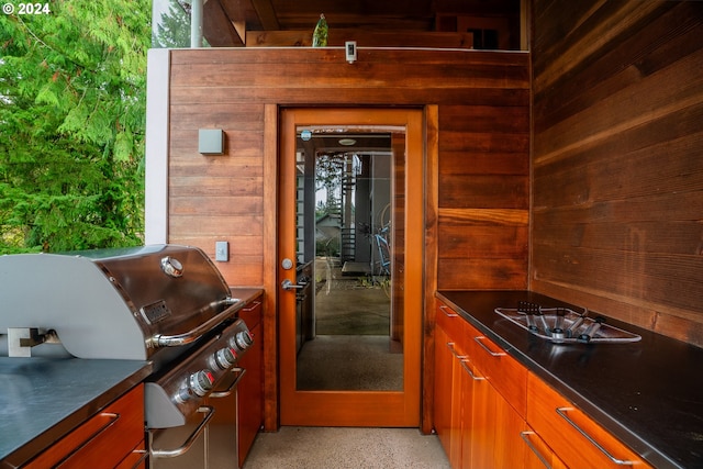 kitchen with wooden walls