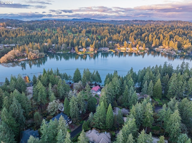 aerial view at dusk with a forest view and a water view