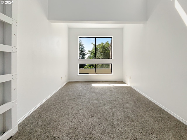 empty room featuring a high ceiling and carpet flooring