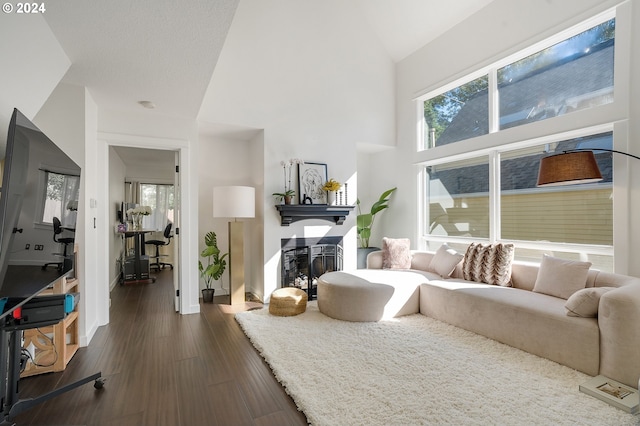 living room featuring high vaulted ceiling and dark hardwood / wood-style flooring