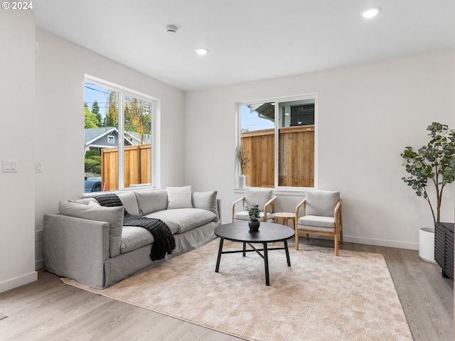 living room featuring light hardwood / wood-style floors and a wealth of natural light