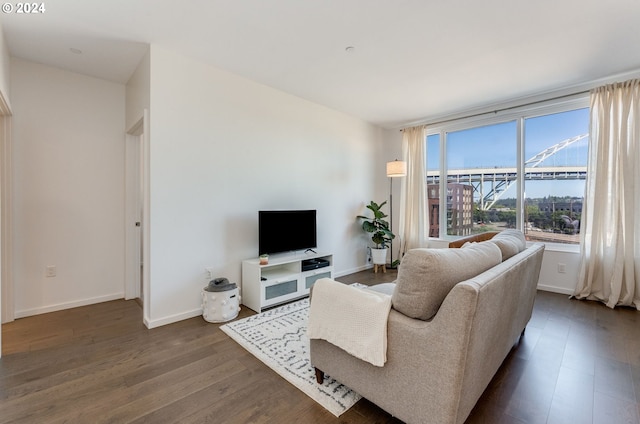 living room featuring dark wood-type flooring