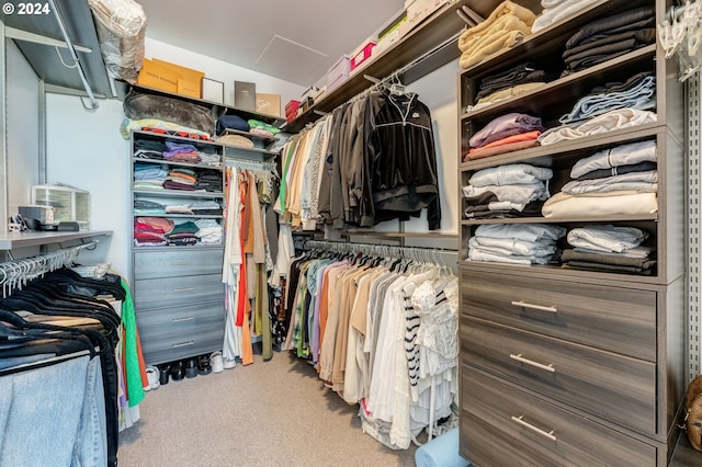 walk in closet with carpet floors