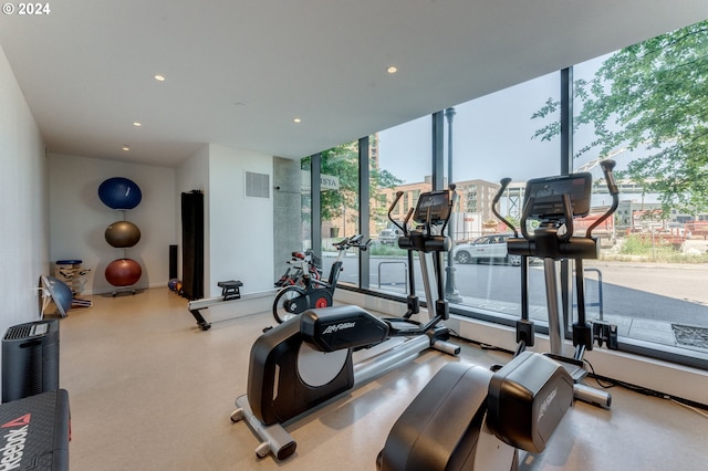 workout area with a wealth of natural light