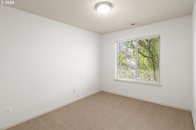 unfurnished room with light colored carpet and a textured ceiling