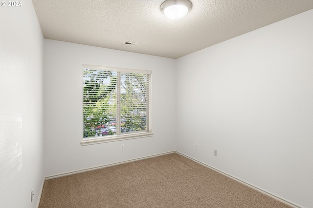 spare room featuring a healthy amount of sunlight, a textured ceiling, and carpet floors