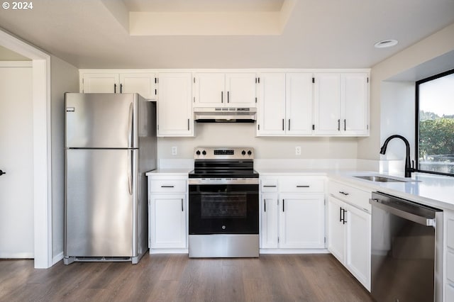 kitchen with white cabinets, sink, stainless steel appliances, a tray ceiling, and dark hardwood / wood-style flooring