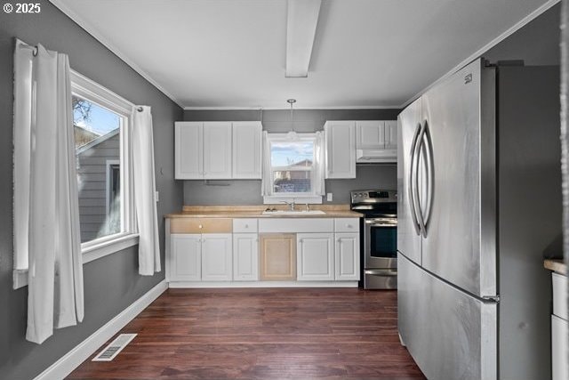 kitchen featuring white cabinetry, sink, dark wood-type flooring, and stainless steel appliances