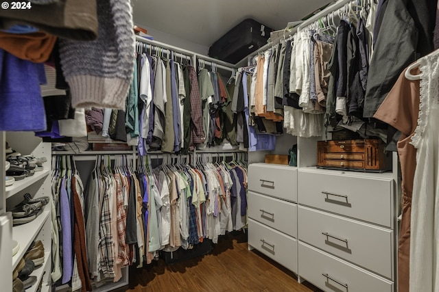 spacious closet with dark hardwood / wood-style flooring