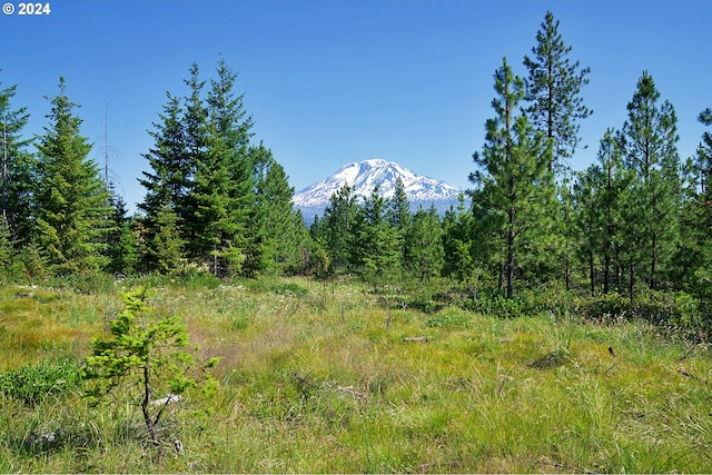 Listing photo 2 for Byrkett Rd Unit 4, Trout Lake WA 98650