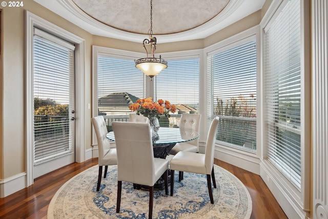 dining room featuring a healthy amount of sunlight and dark hardwood / wood-style flooring