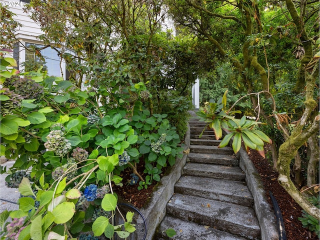 view of stairs