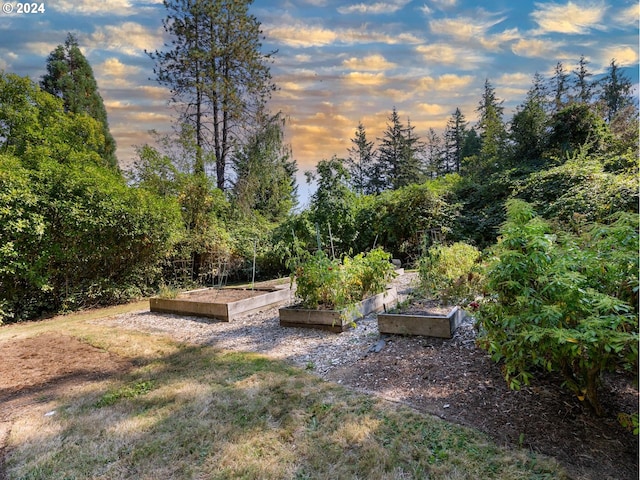 view of yard at dusk