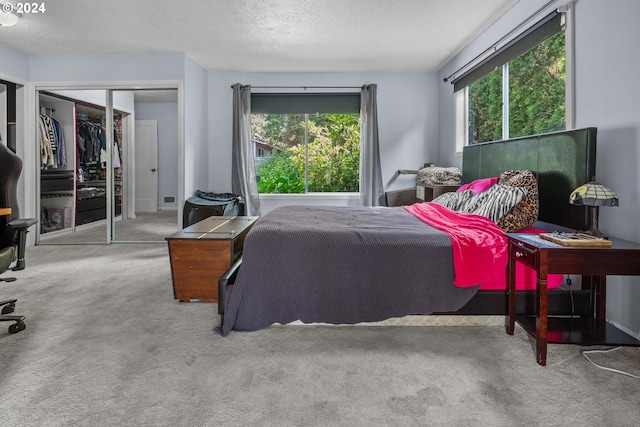 bedroom with carpet flooring, multiple windows, and a textured ceiling