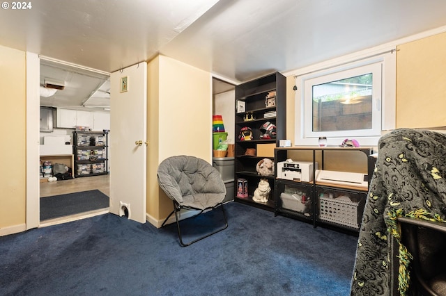 living area featuring carpet flooring