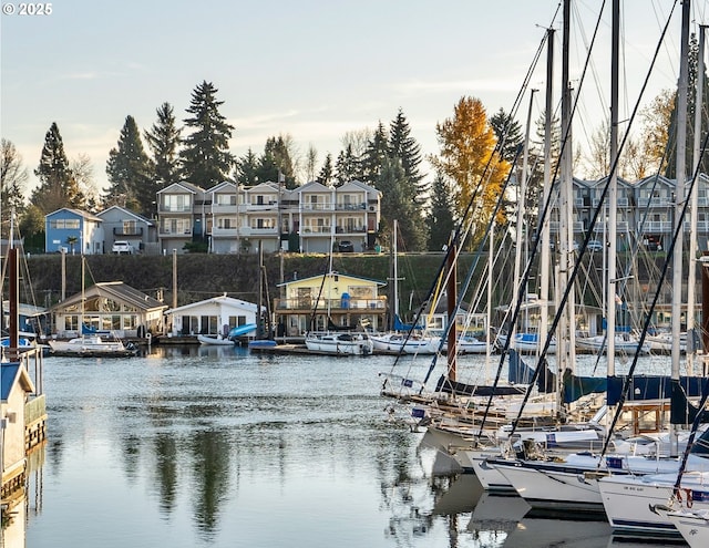 dock area featuring a residential view and a water view