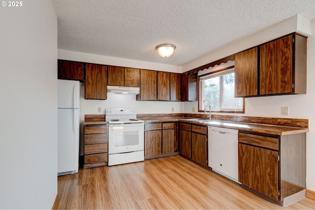 kitchen with white appliances, sink, light hardwood / wood-style flooring, and a textured ceiling