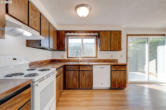 kitchen with sink, a textured ceiling, white appliances, and light hardwood / wood-style floors