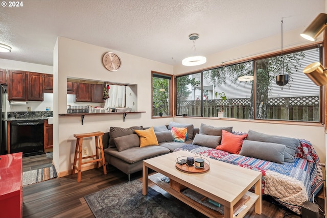 living room with a textured ceiling and dark hardwood / wood-style floors