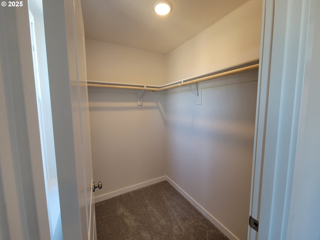 walk in closet with dark carpet