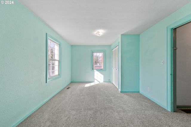 empty room featuring a wealth of natural light and carpet flooring