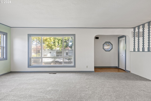 carpeted spare room featuring a textured ceiling