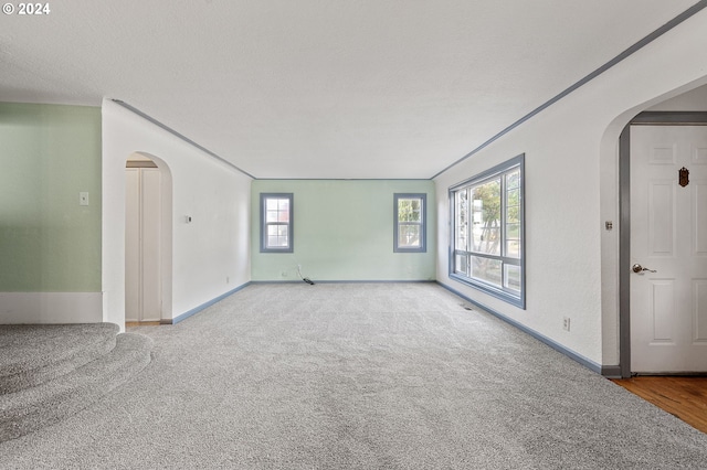 carpeted empty room with a wealth of natural light and a textured ceiling