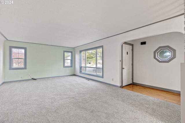 unfurnished room with a healthy amount of sunlight and light colored carpet