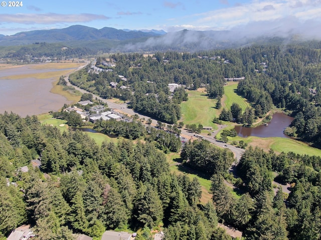 birds eye view of property featuring a water and mountain view