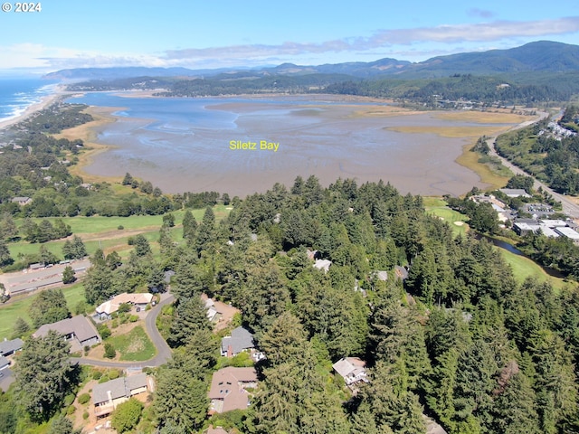 bird's eye view featuring a water and mountain view