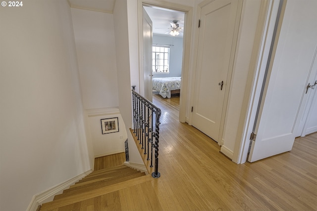 stairs with hardwood / wood-style floors