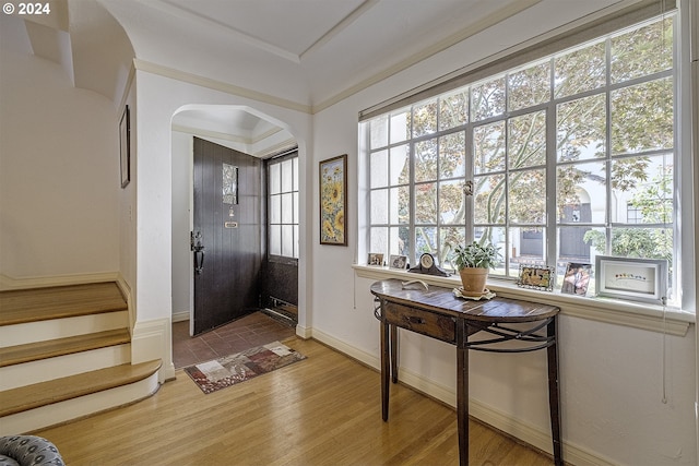 entrance foyer featuring wood-type flooring