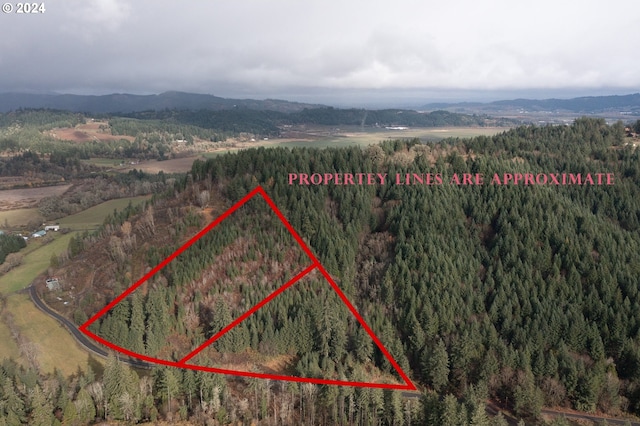 NW Williams Canyon Rd, Gaston OR, 97119 land for sale