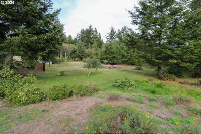 view of yard with a fire pit