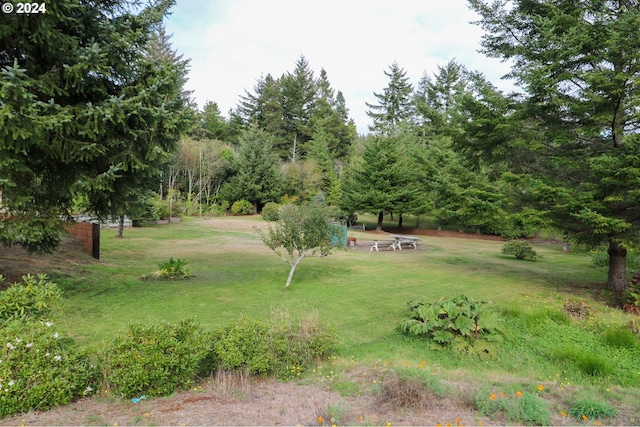 view of yard featuring an outdoor fire pit