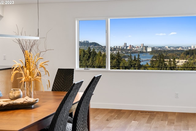 dining room featuring plenty of natural light and light hardwood / wood-style floors